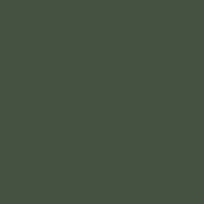 Chive Green photo booth backdrop