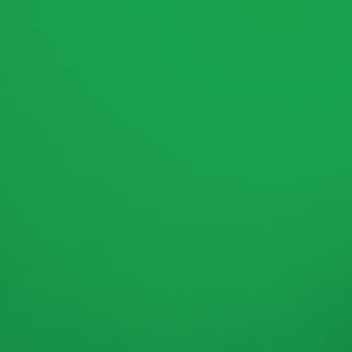 Green Screen photo booth backdrop