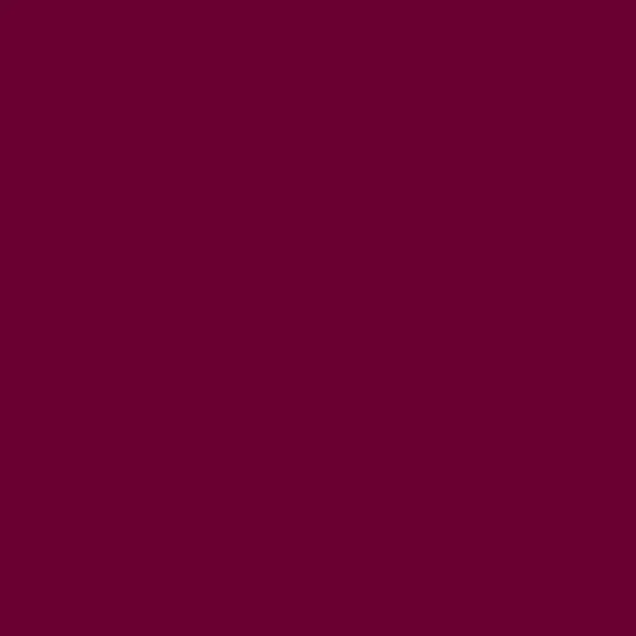 Maroon photo booth backdrop