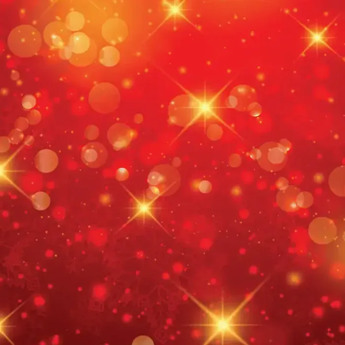Red Snowflake Bokeh photo booth backdrop