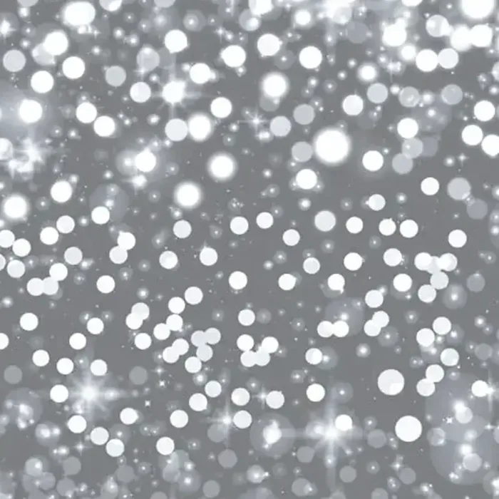 Silver Bokeh photo booth backdrop