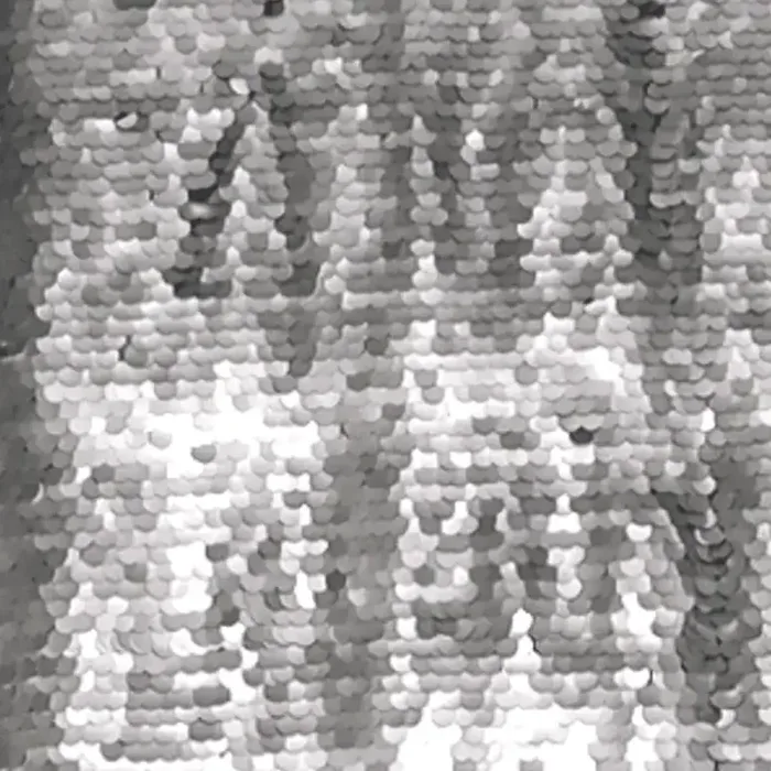 Silver Sequin photo booth backdrop