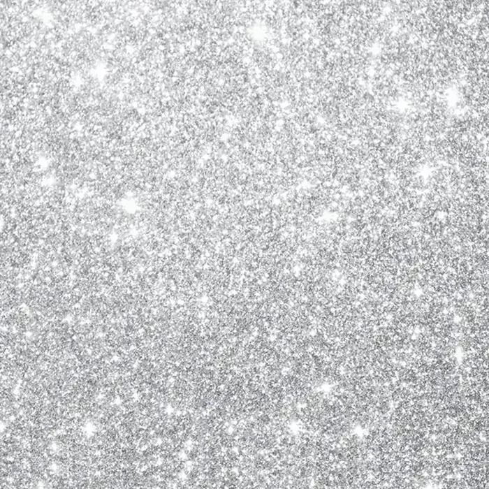 Silver Sparkle photo booth backdrop