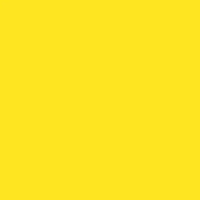 Sunshine Yellow photo booth backdrop