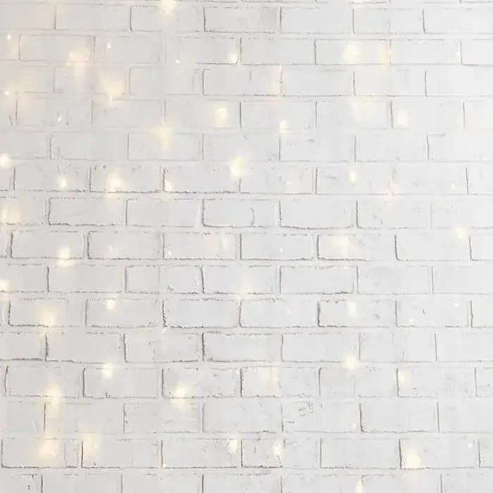 White Brick & String Lights photo booth backdrop